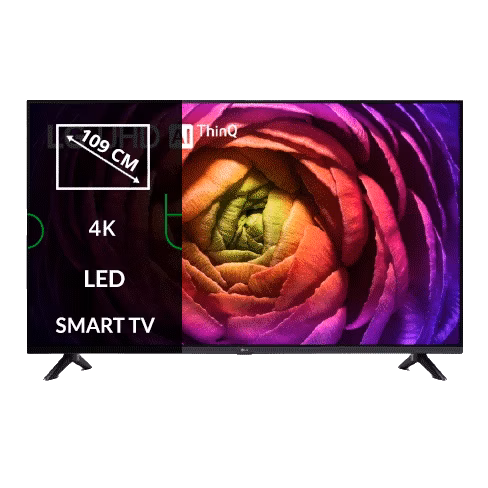 LG 43